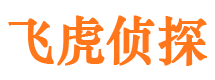 平原捉小三公司